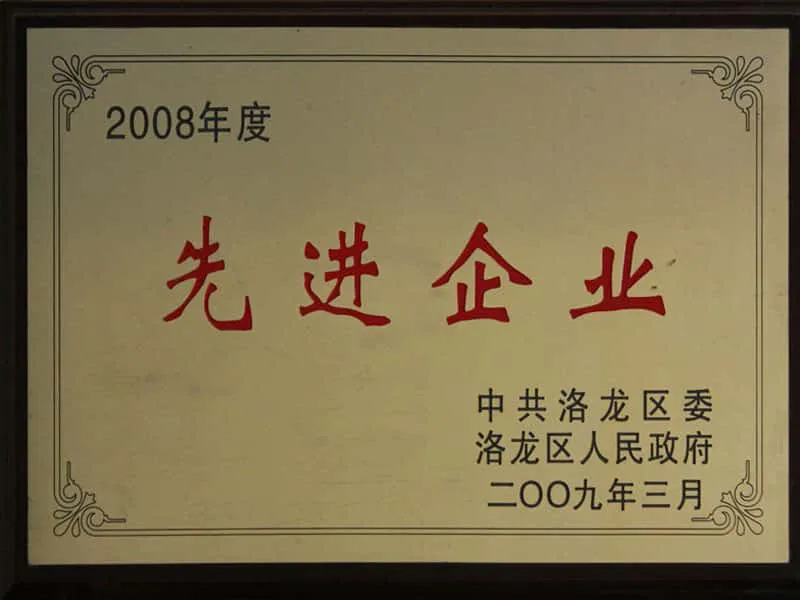 2008年度洛龙区先进企业