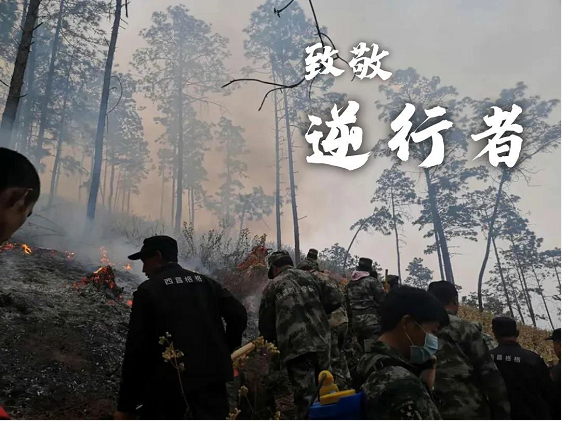 西昌森林大火一线，凌宇搅拌车紧急变身运水车