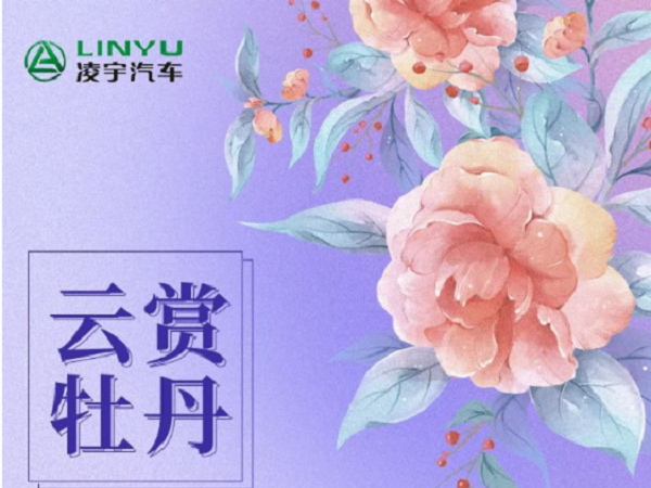 看直播，赢豪礼|牡丹仙子有奖征集，凌宇邀您共赏洛阳春光